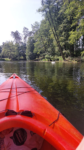 Photo from customer review