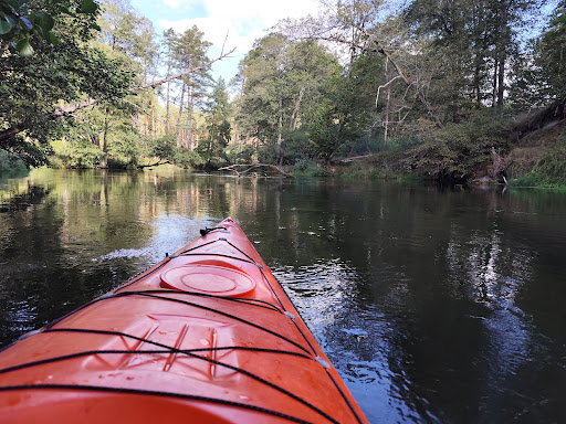 Photo from customer review