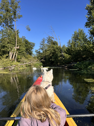 Photo from customer review